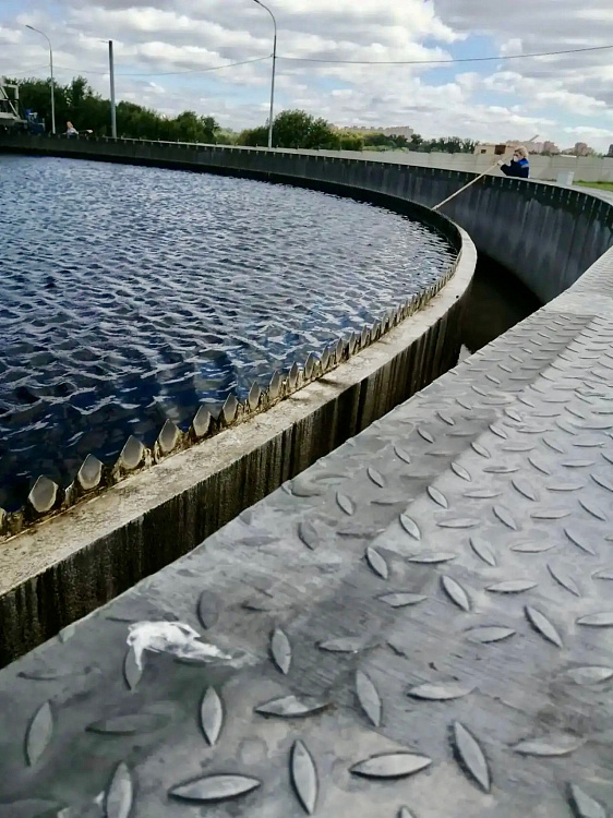 sGSJjekPWM_oA0M4GfFRORyFzKbUN6O5pHFewZMVbZDdTREfNnEU_Xxpr9JhcW447d0qAooytby6p2r2JwKD3uPq.jpg